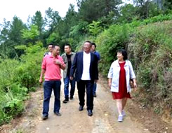 诸侯快讯(中国游)官方网站
