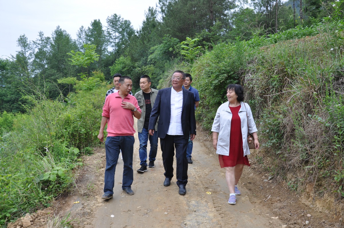 诸侯快讯(中国游)官方网站